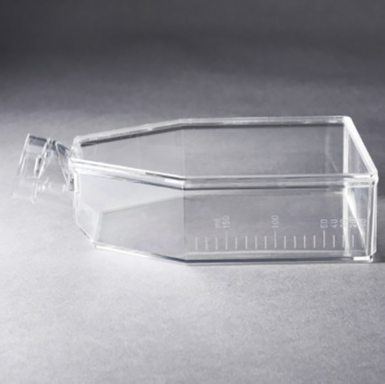 25-cm2-flask