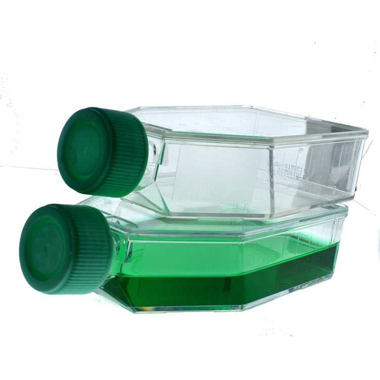 25cm2-flask