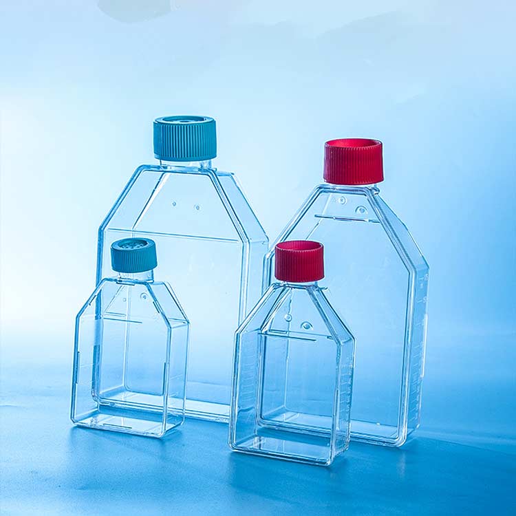 75cm2-flask