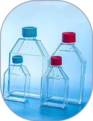 cell-culture-flask