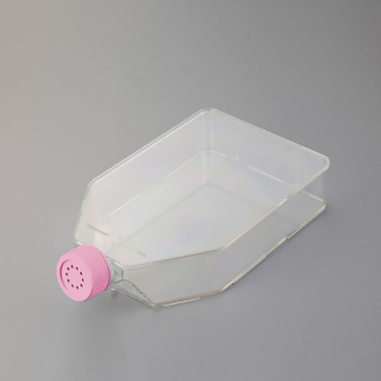 cellstar-cell-culture-flasks