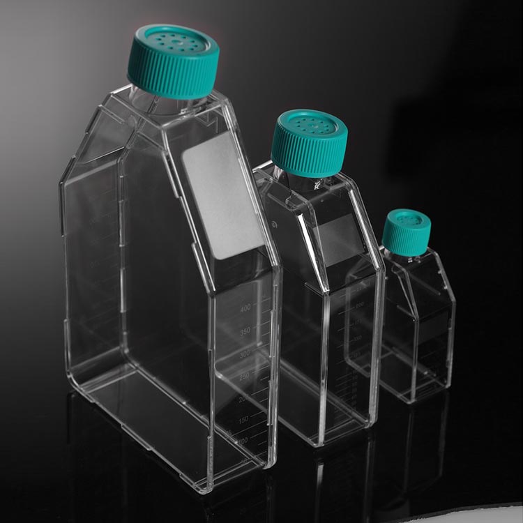 collagen-coated-flasks
