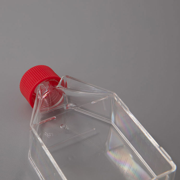 corning-erlenmeyer-cell-culture-flasks