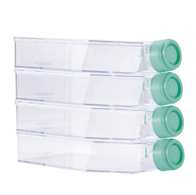 erlenmeyer-cell-culture-flasks