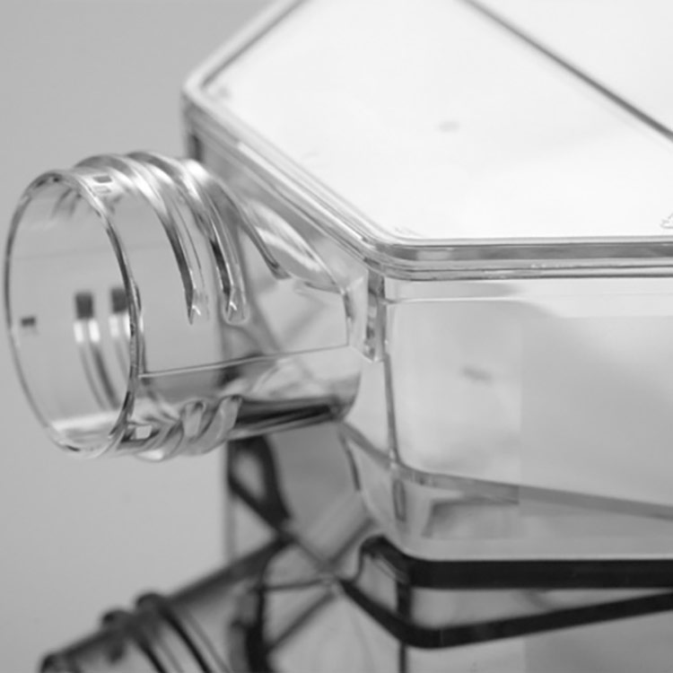nunc-t75-flask