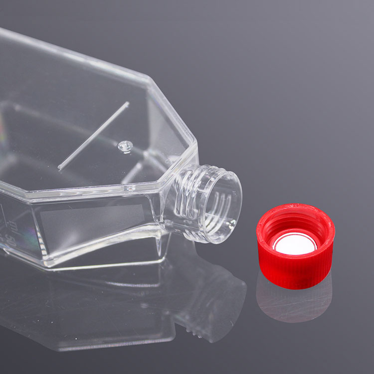spl-cell-culture-flask