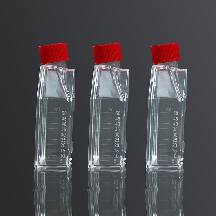 t-flask-cell-culture